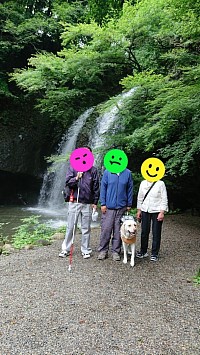 ケアサポート快心